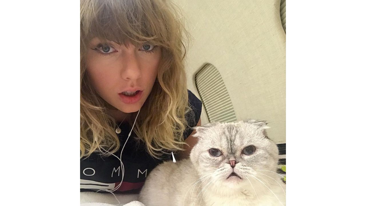 The third place was secured by Hollywood star Taylor Swift's pet, Olivia Benson, with a whopping $97 million net worth. Credit: Instagram/@taylorswift