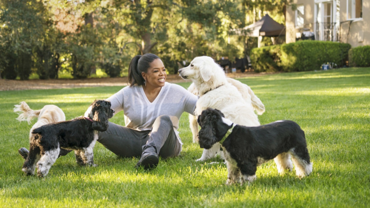 Oprah Winfrey’s pet dogs Sadie, Sunny, Lauren, Layla, and Luke sit on the fourth place. Each of them has their own trust fund and as a collective are set to inherit $30 million when Oprah passes. Credit: www.oprah.com (Harpo Inc./Jose Tutiven)