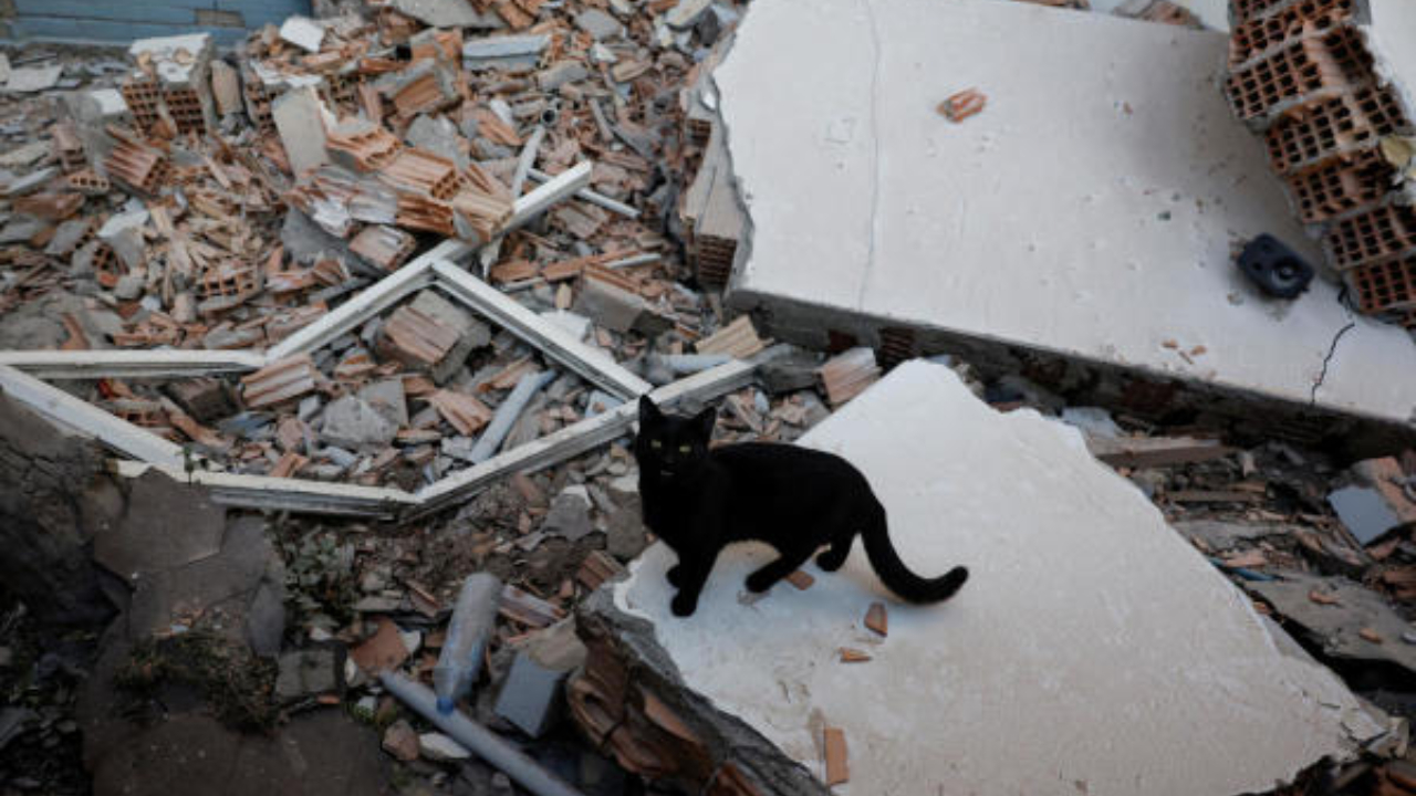 News in pics, February 15, 2023: Best photos from around the world