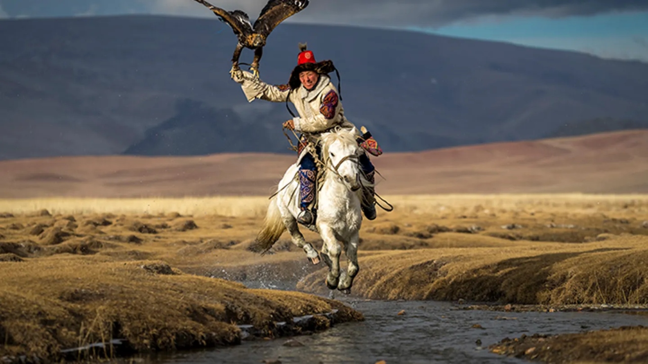 Honorable Mention: Asiilbek, a nomadic Kazakh eagle hunter, preps his golden eagle, Burged, for a horseback hunt in the grasslands outside Bayan-Olgii, the westernmost province of Mongolia. Credit: Eric Esterle