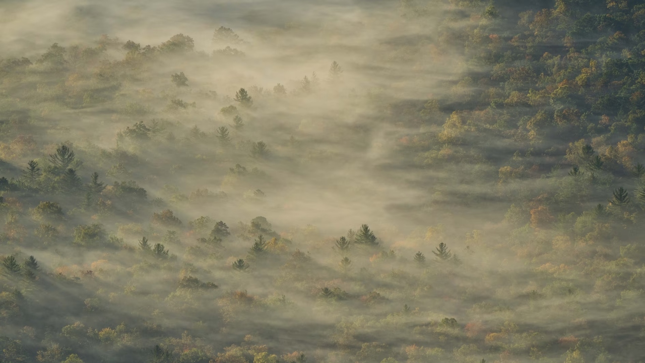 Honorable Mention: Early morning view of the foggy valley from North Carolina’s Blue Ridge Parkway. Credit: Tihomir Trichkov