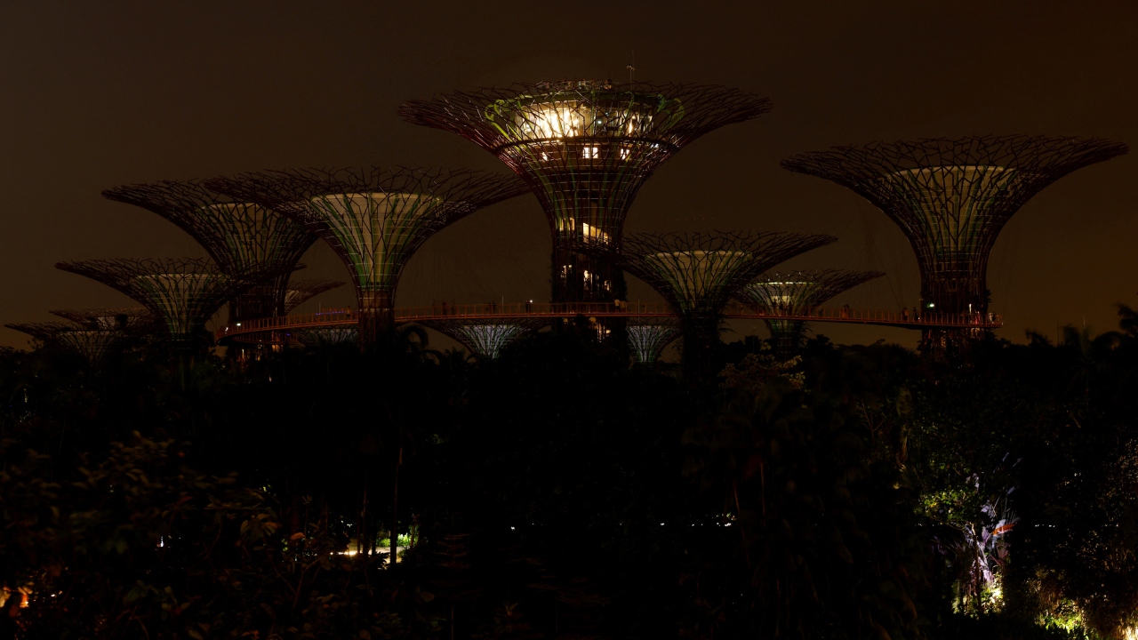 The Supertree Grove structures at Gardens by the Bay after lights are switched off to mark the Earth Hour, in Singapore. Credit: Reuters Photo