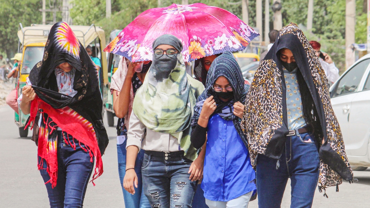 Wear Protective Clothing: Wear lightweight, loose-fitting, and light-coloured clothing that covers your skin, like long-sleeved shirts and wide-brimmed hats. Credit: PTI Photo