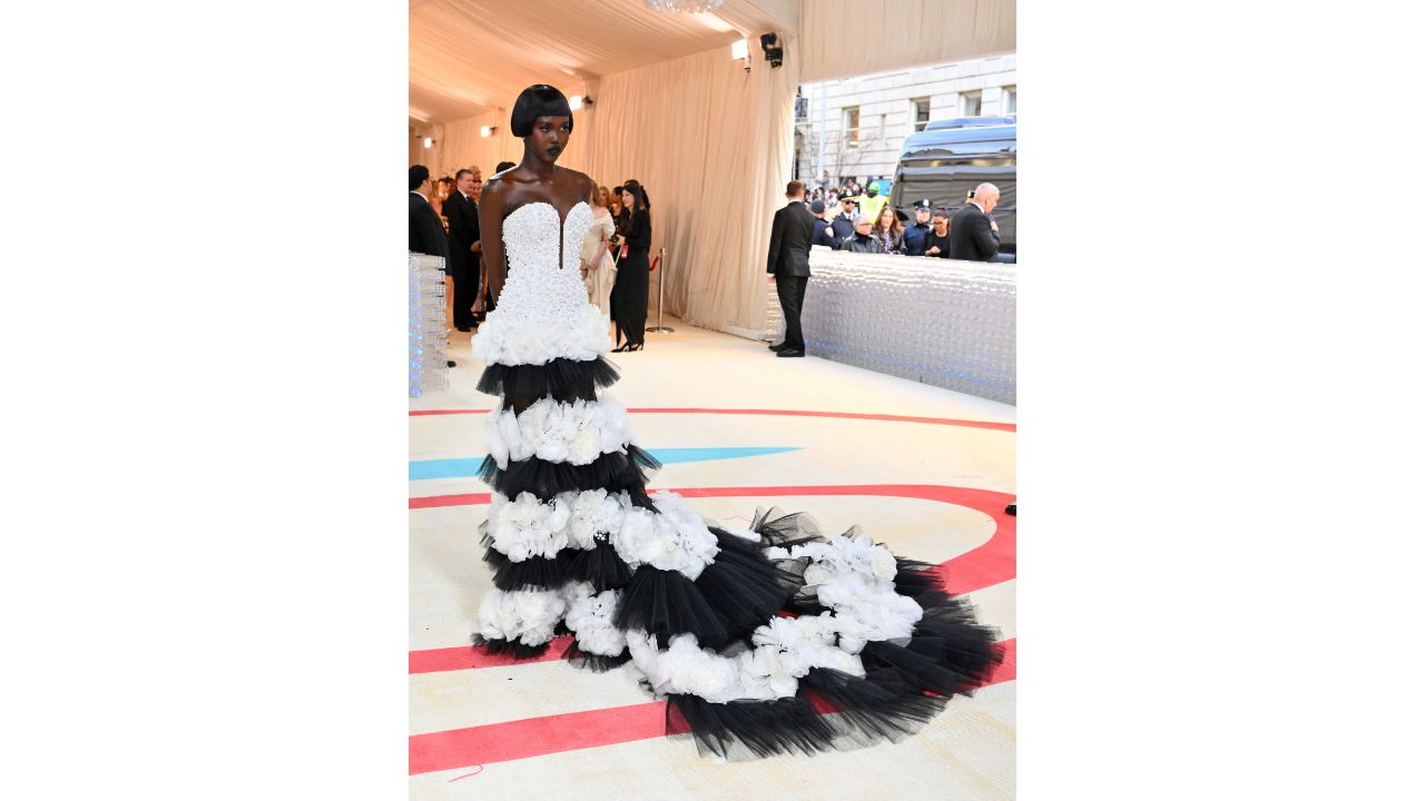 Adut Akech wowed everyone in a Carolina Herrera gown. Credit: AFP Photo