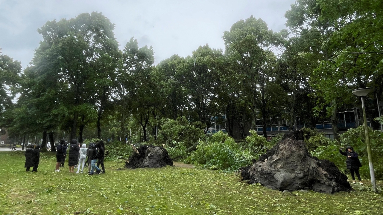 Usually, heavy storms in the Netherlands occur between October and April. Credit: Reuters Photo