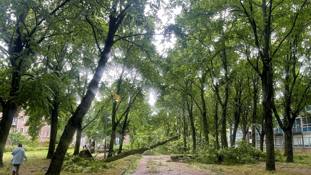 The storm has disrupted the daily lives of people with highways being shut due to falling trees, while tram, bus and flight services were affected. Credit: Reuters Photo