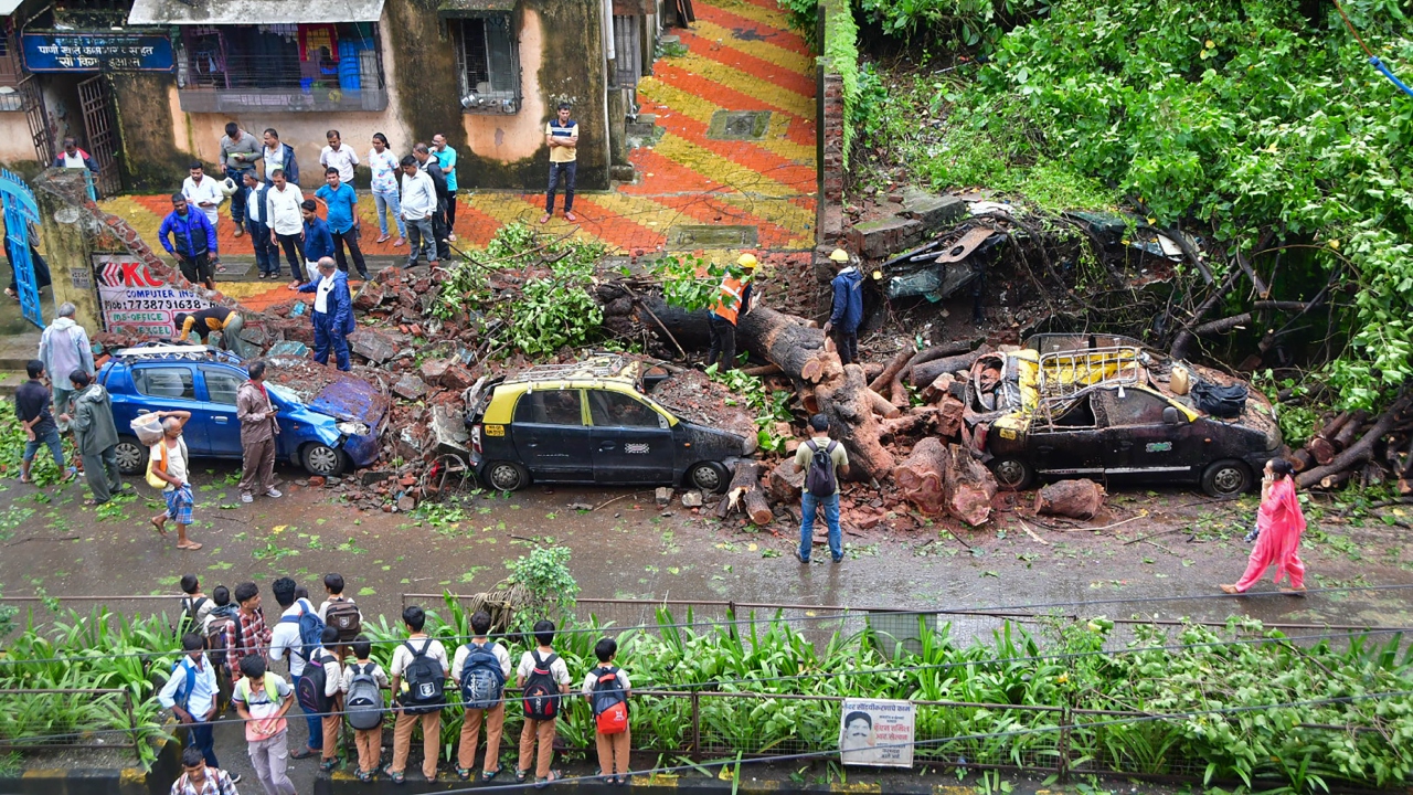 Heavy rains and wind also uprooted trees causing damage to vehicles in some areas. Credit: PTI Photo
