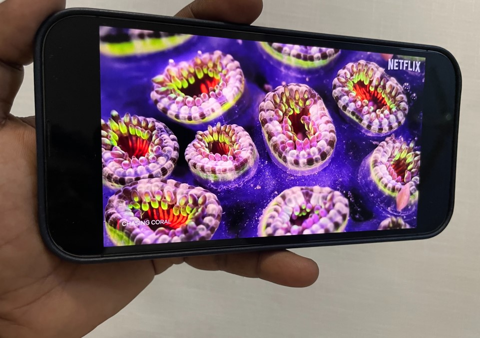 Apple iPhone 13 Pro Max. Credit: DH Photo/KVN Rohit