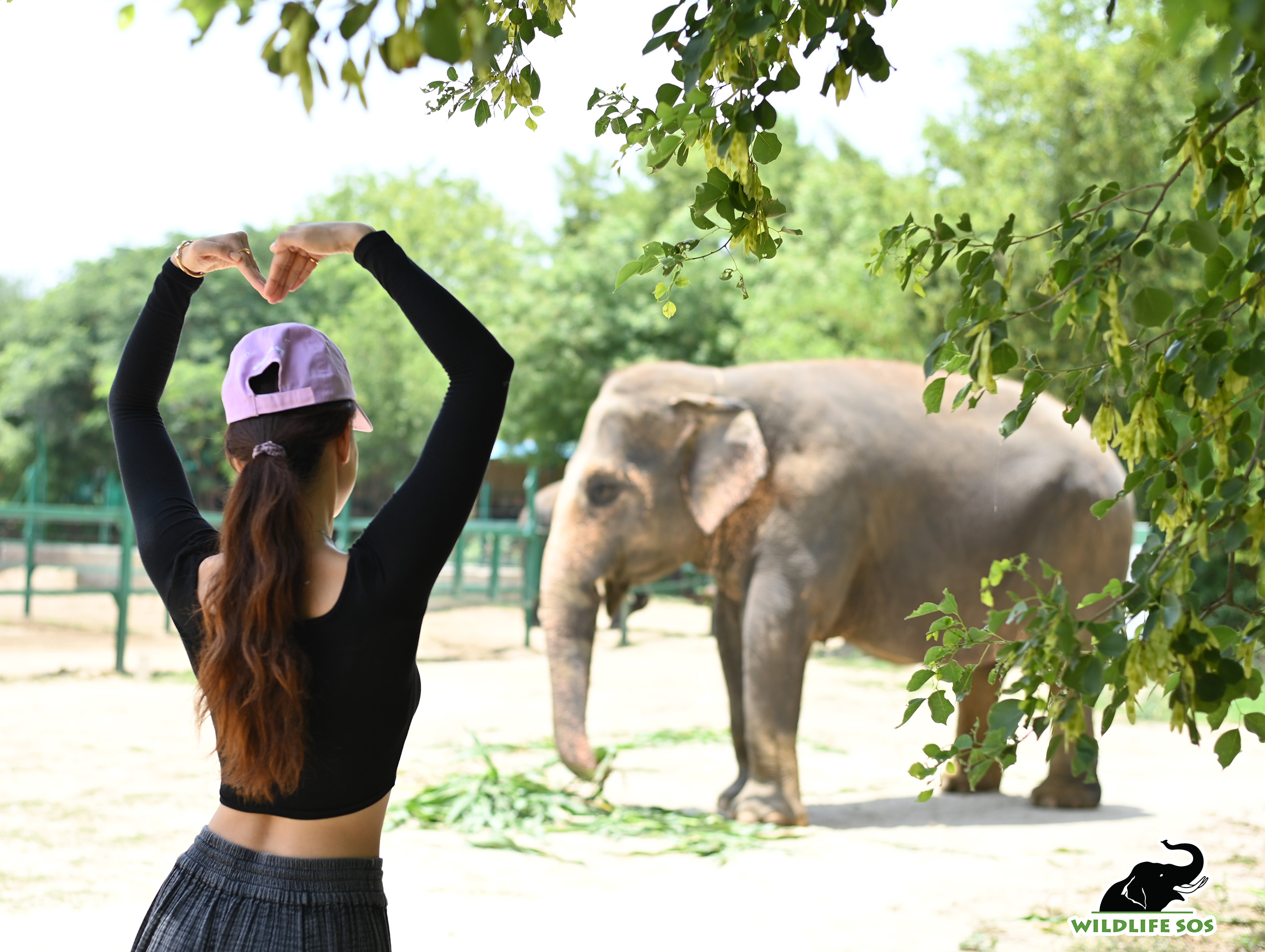 Brimming with energy, Disha also lent her hand in creating and distributing enrichments that keep elephants physically and mentally stimulated. Credit: Wildlife SOS