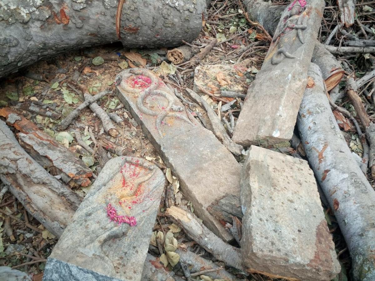 The idols at the Someshwara temple are wrecked and need to be restored. 
