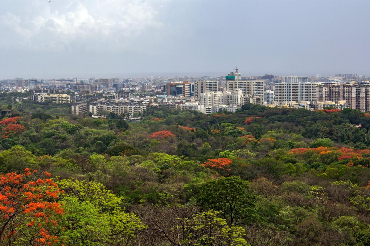 Aarey Milk Colony