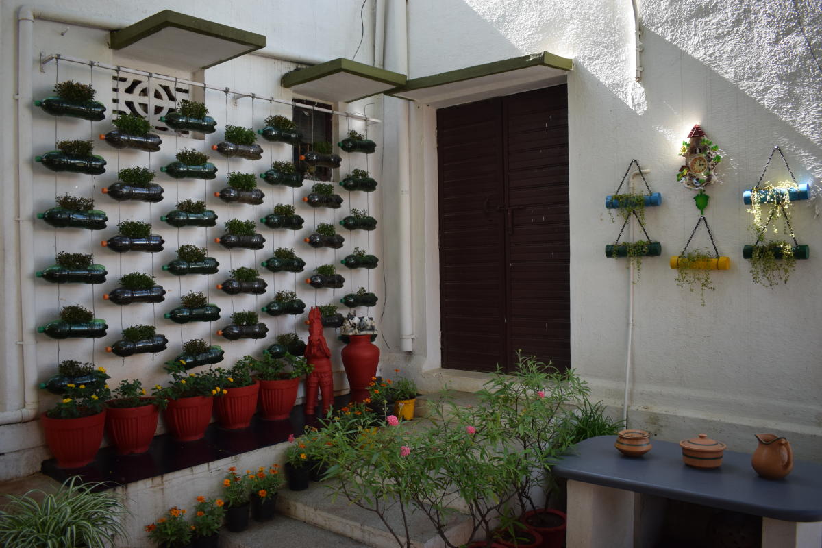 vibrant colours: Views of Hashmath Fathima’s garden in Mysuru. photos by author