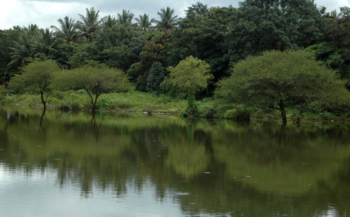 Legend Poet Da Ra Bendre’s residence Srimata, in Dharwad; Sadhanakeri lake which was his inspiration; Da Ra Bendre. DH Photos by B M Kedarnath