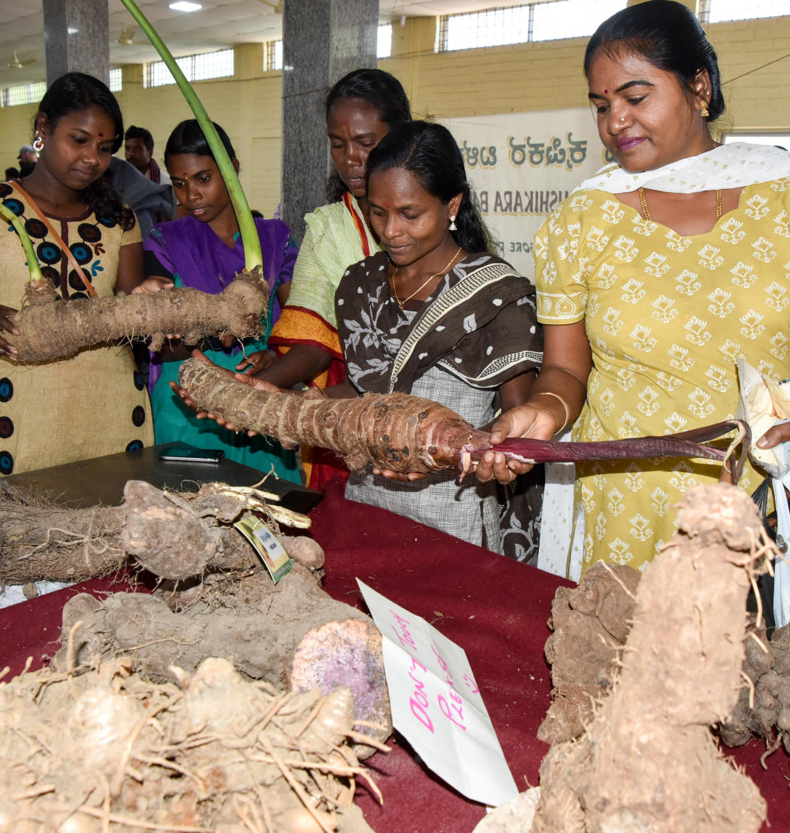 People looking the Roots and Tuber at the Two Day Roots and Tuber Mela, jointly organised by Sahaja Samrudhi and Department of Horticulture and University of Horticulture Sciences, Bagalkot, at Curzon Park in Mysuru on Saturday.- PHOTO / SAVITHA B R