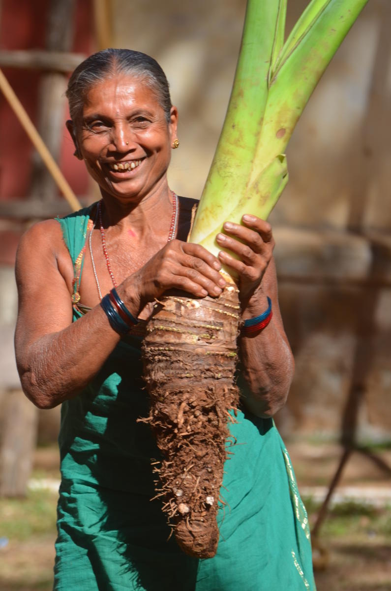 Tubers -  Krishna Prasad, Anandteertha Pyati  