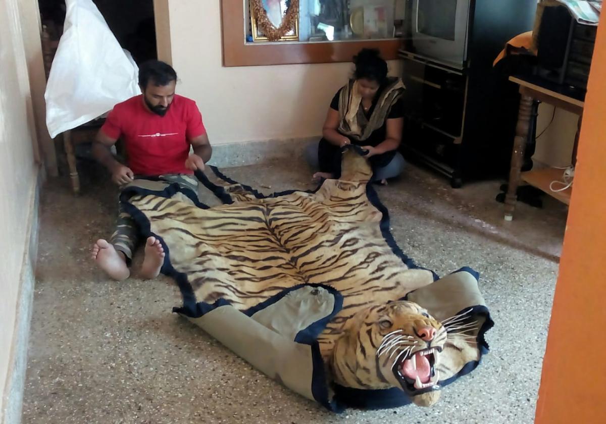 Recreation: Taxidermists at work. photos by author , savitha b r