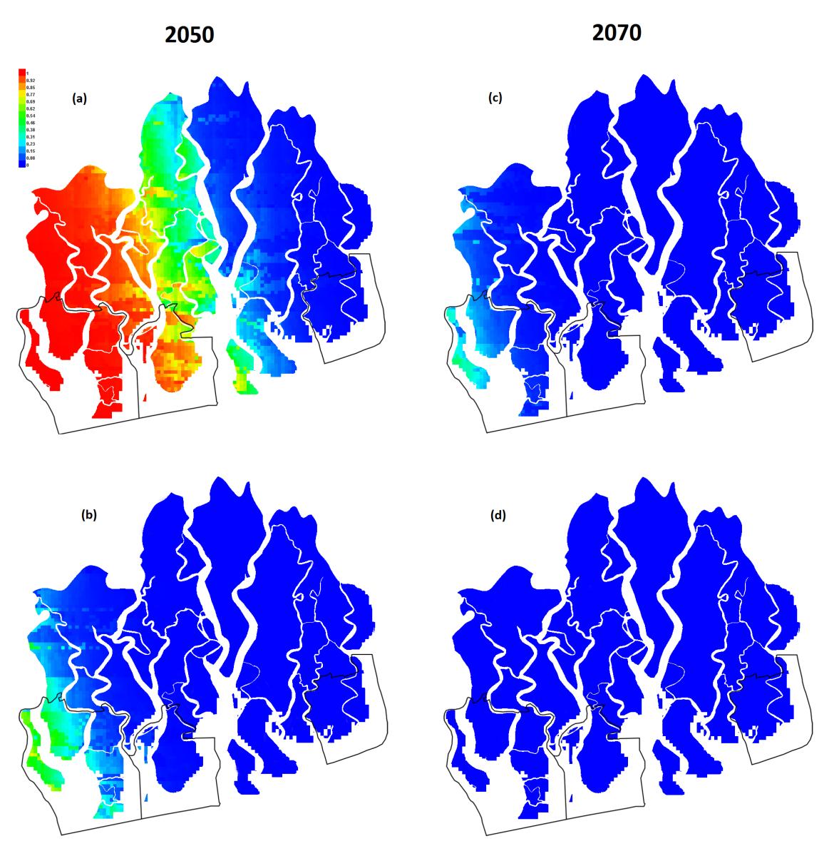 In the four Sunderban maps seen here, only the RCP 6.5 scenario by 2050 shows some land left for tigers (in red, yellow and green). In other three maps, hardly any land is left as the entire area is under water (shown in blue). 
