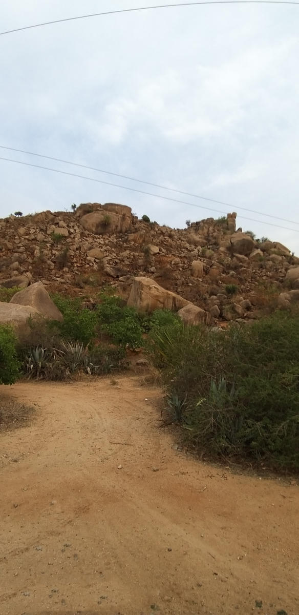 Pavagada hill