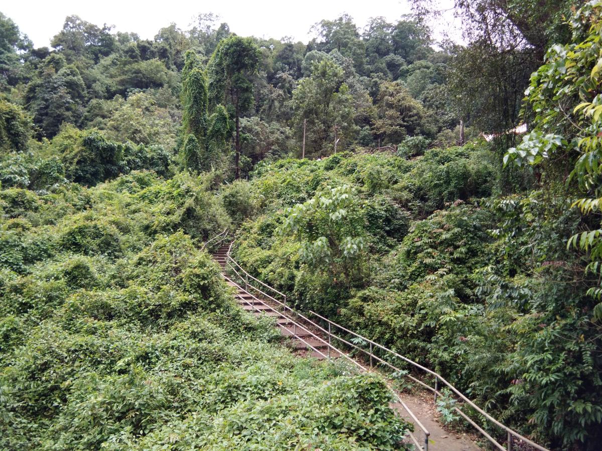 Lush green foothills of Yana caves. Photos by author
