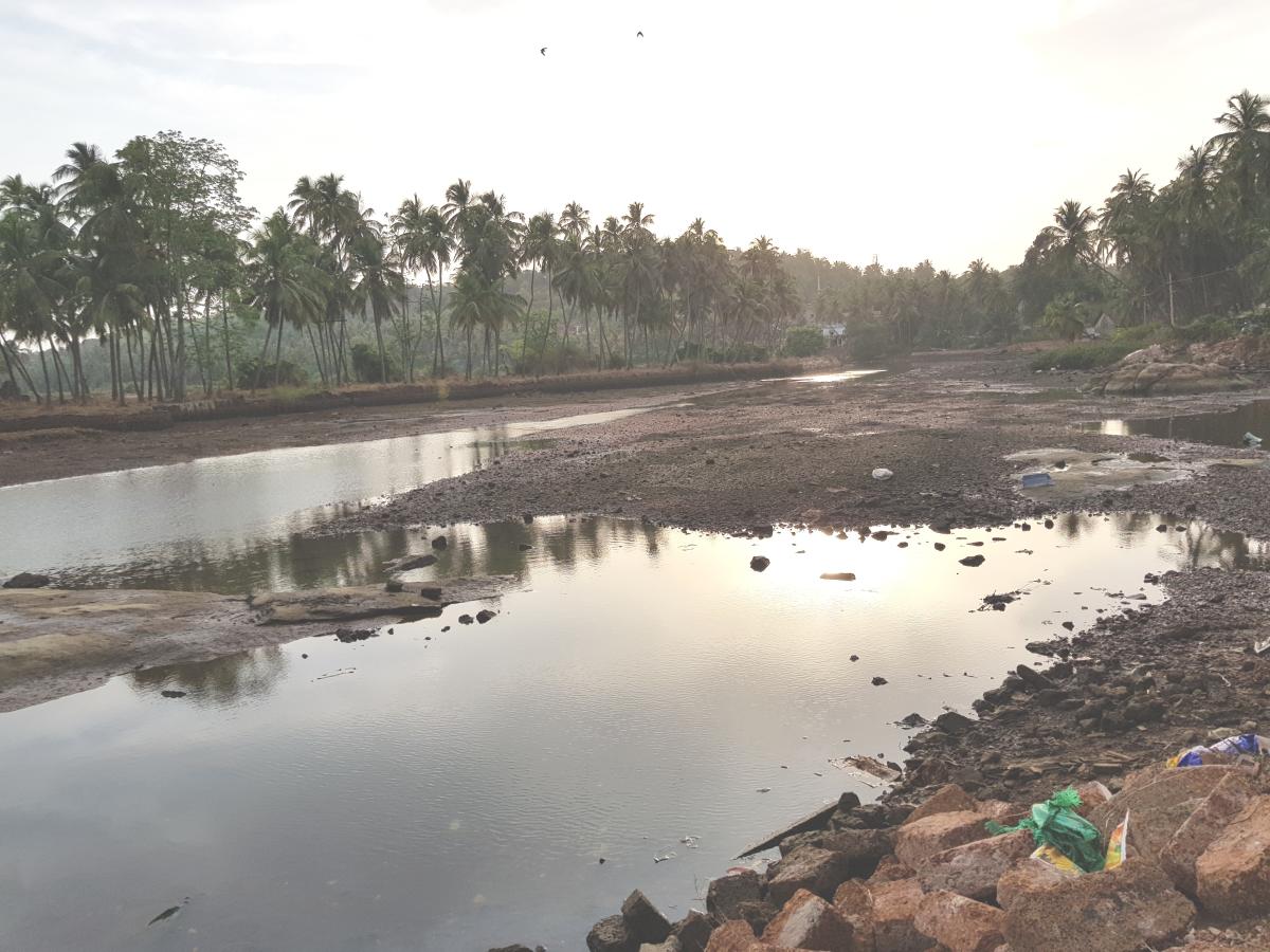 The skeletal Sharabi river in summer.