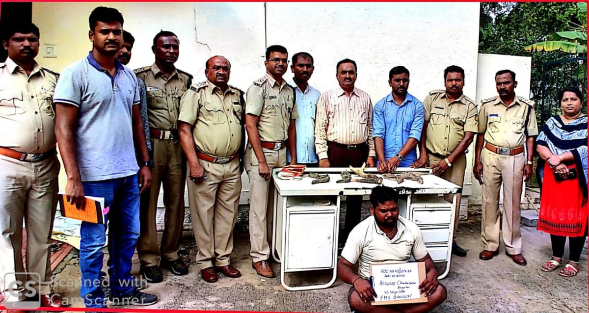 Chandrashekar K Bajanthri, 24, a native of the village of Hulimangala in Anekal taluk was arrested near his home on Oct 16, 2019, for trying to sell four live Indian Monitor lizards.