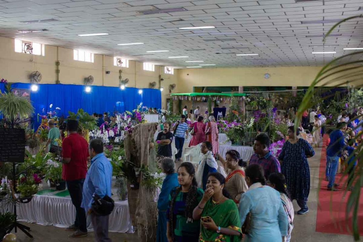 People at the orchid show 