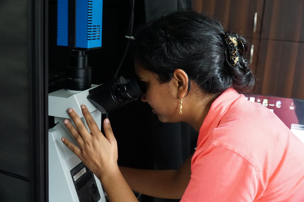 Dr Prerna Sharma of the Department of Physics, charts phototaxis movement at IISc.