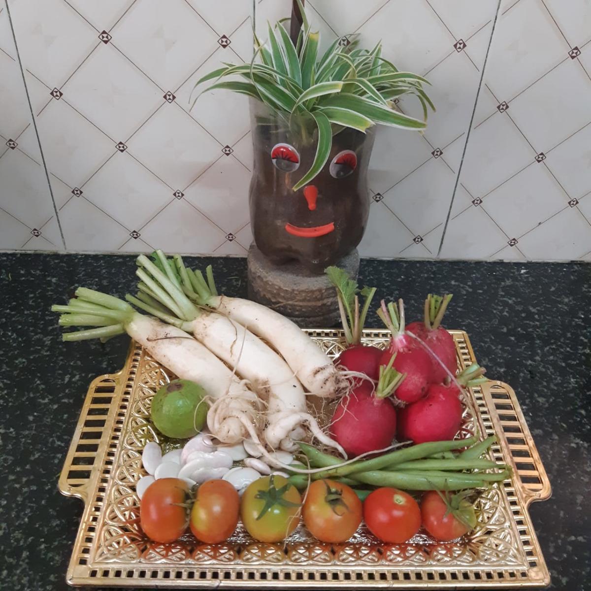 Terrace gardening