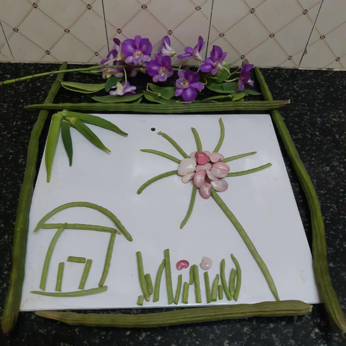 Terrace gardening