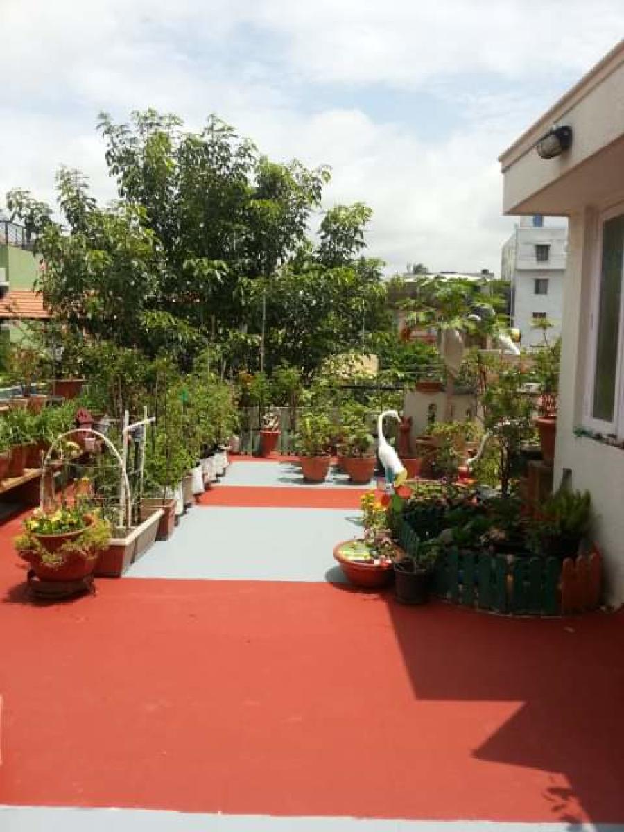 Terrace gardening