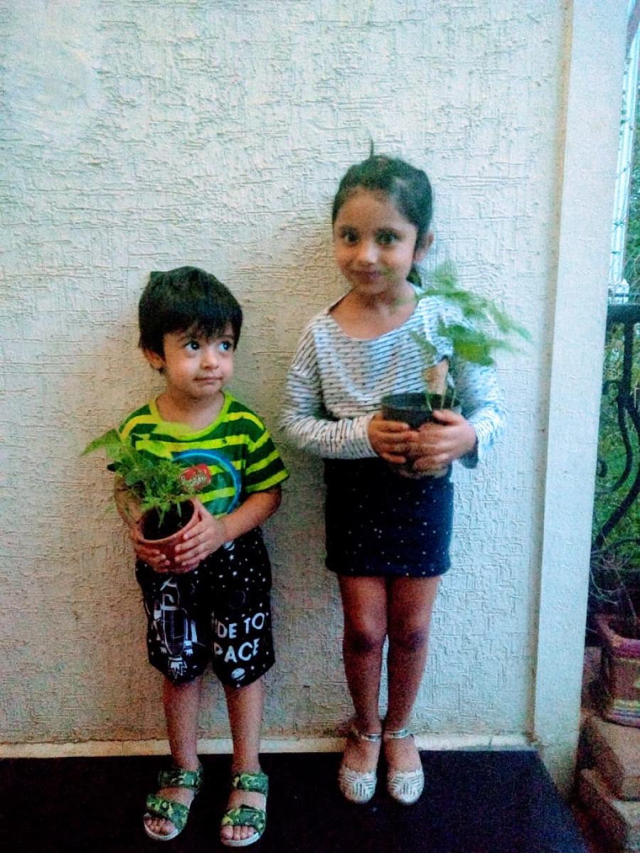 Terrace gardening