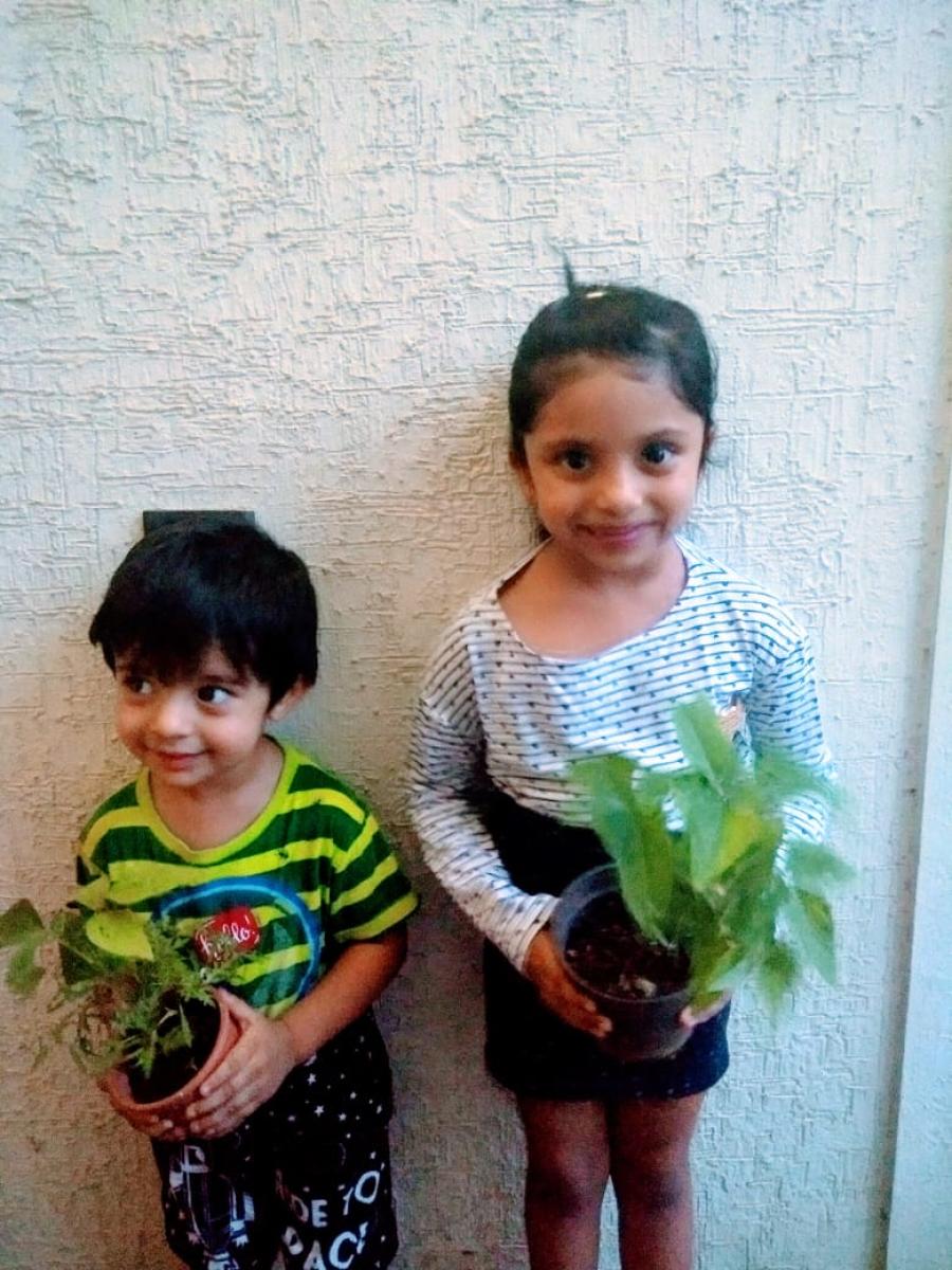 Terrace gardening