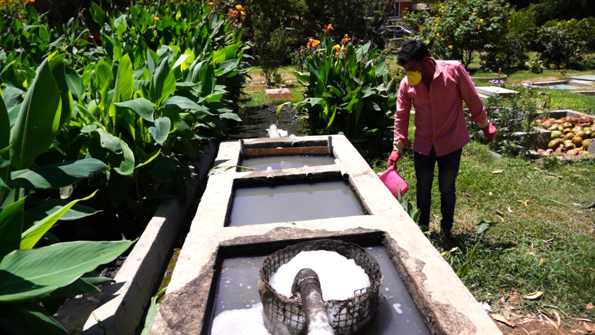 A phytorid sewage treatment plant set up at Rainbow Drive Layout, Bengaluru. DH Photos