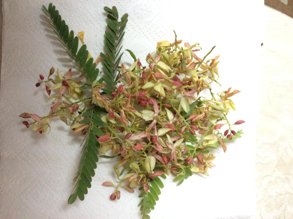 Tamarind flowers