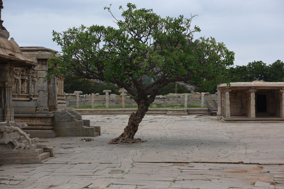 Hampi for Spectrum, Photos by Krishna Gopinath and K Srinivasan