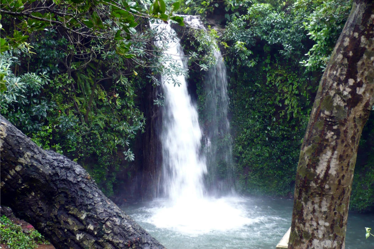 Apsarkonda waterfalls in Honnavar taluk. Photos by B J Naik and Sadashiva 