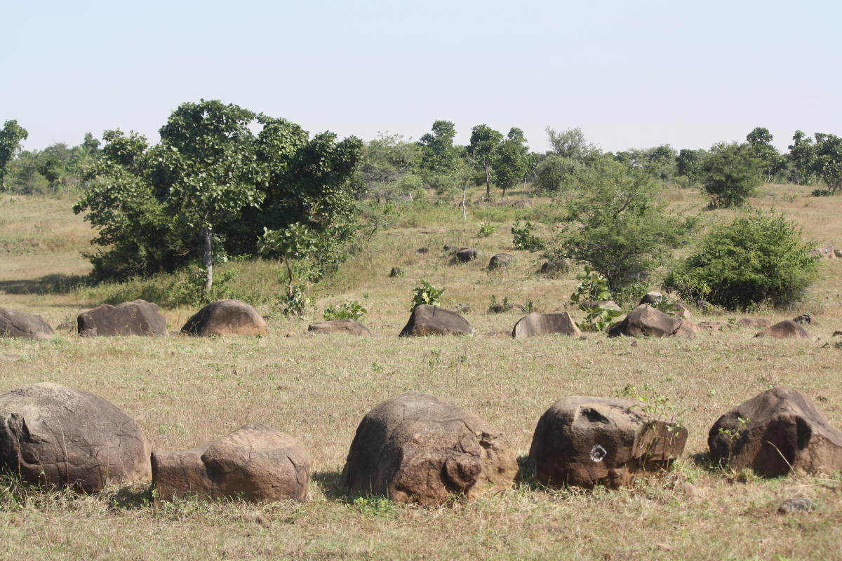 A stone circle megalith in Vidarbha. Photo credit: Srikumar M Menon