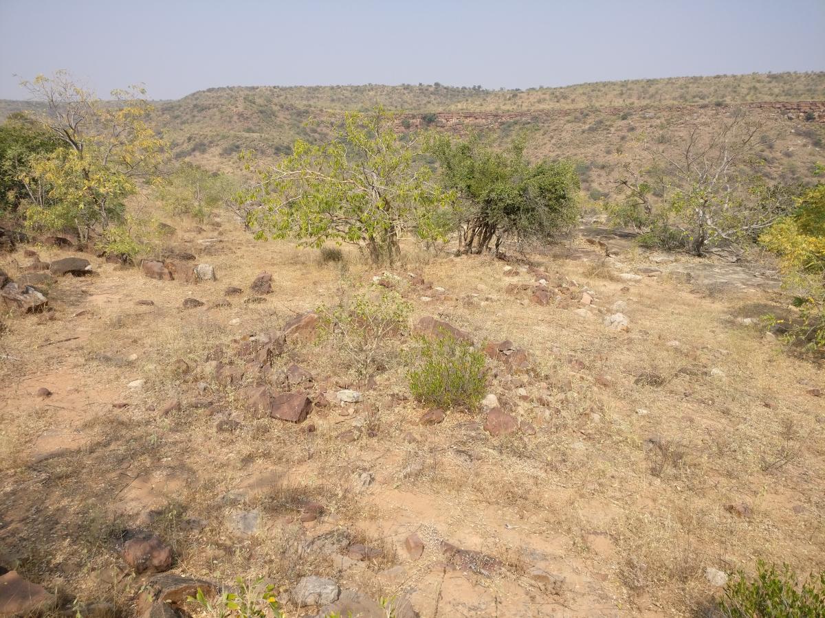 A cairn at Benakanawari, near Aihole. Photos by Srikumar M Menon