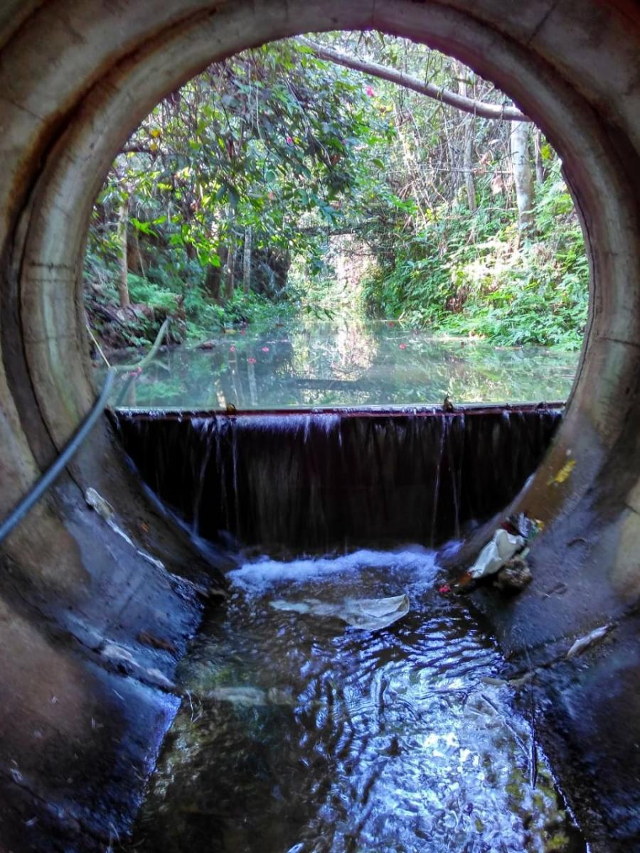 The micro ring check dam constructed by Nitile Mahabaleshwara Bhat in Kodapadavu village, Bantwal taluk, Dakshina Kannada district.