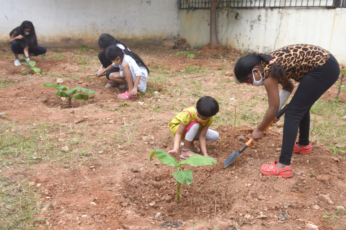 Children plant saplings in a vacant plot. DH Photo/S K Dinesh