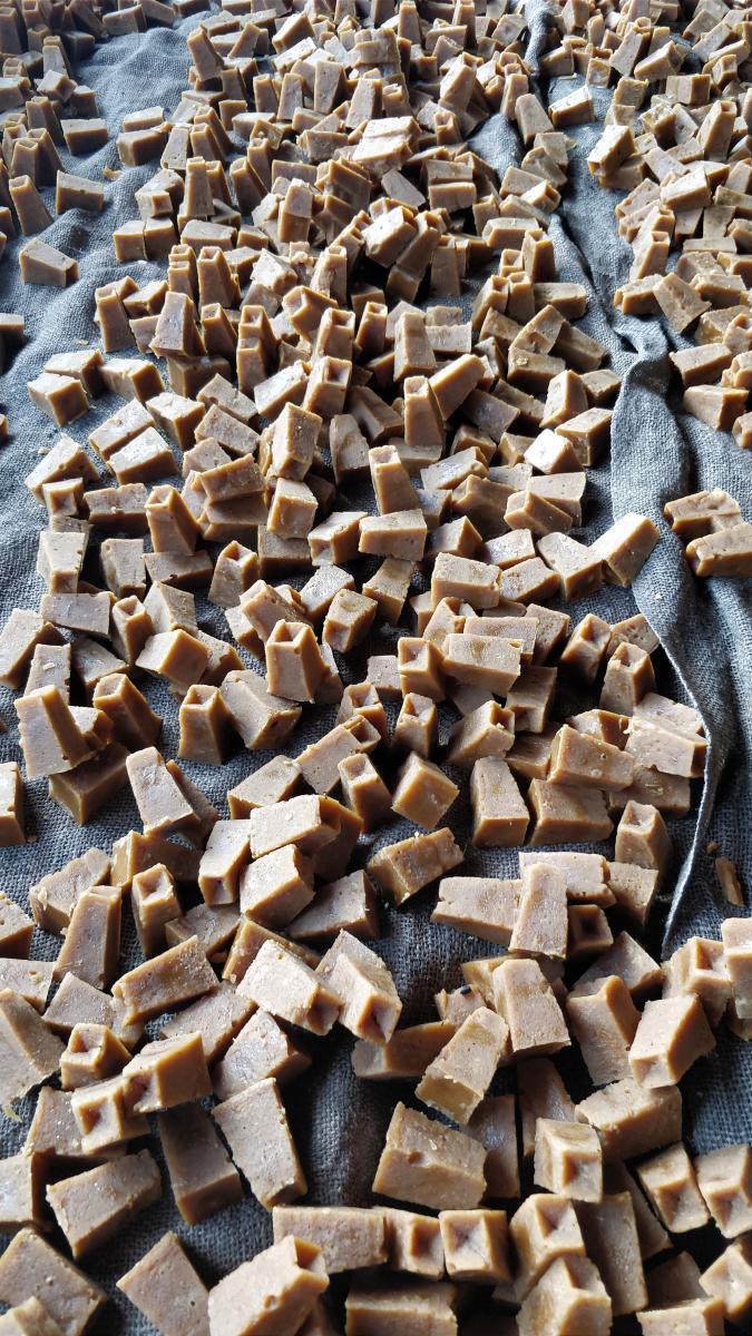 Natural jaggery blocks. Photo by Srinidhi C V