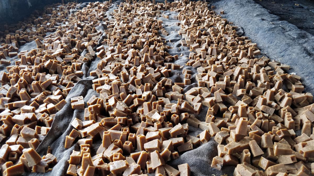 Jaggery blocks ready for sale. Photo by Srinidhi C V 