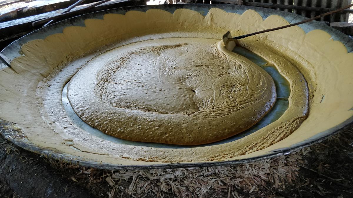 Jaggery processed in a traditional manner. Photo by Srinidhi C V