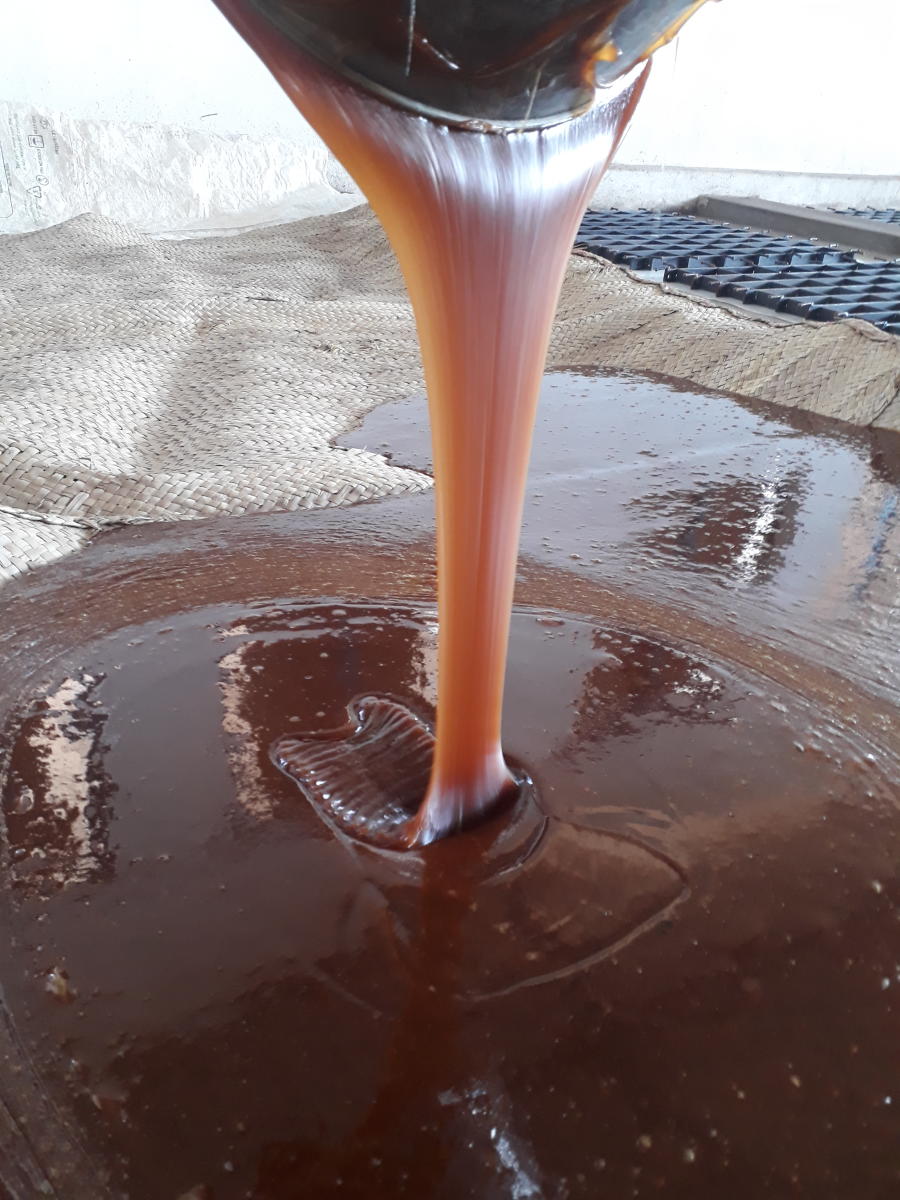 Sugarcane syrup. Photos by Pramod Chitturi