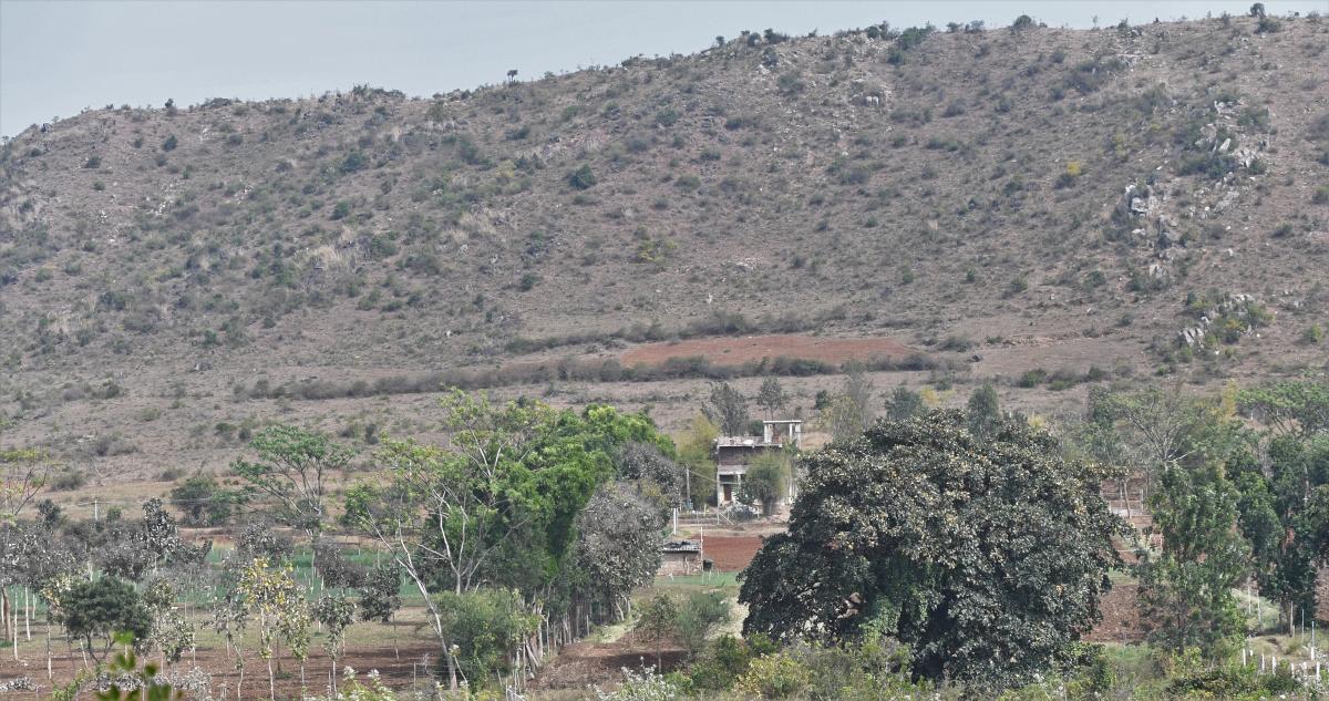Illegal structures at Mangala village, an eco-sensitive zone adjacent to Bandipur. Credit: DH Photo
