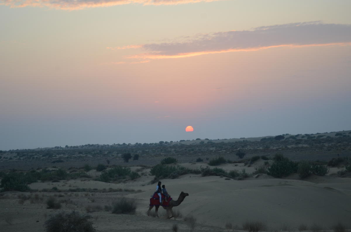 Camel safari