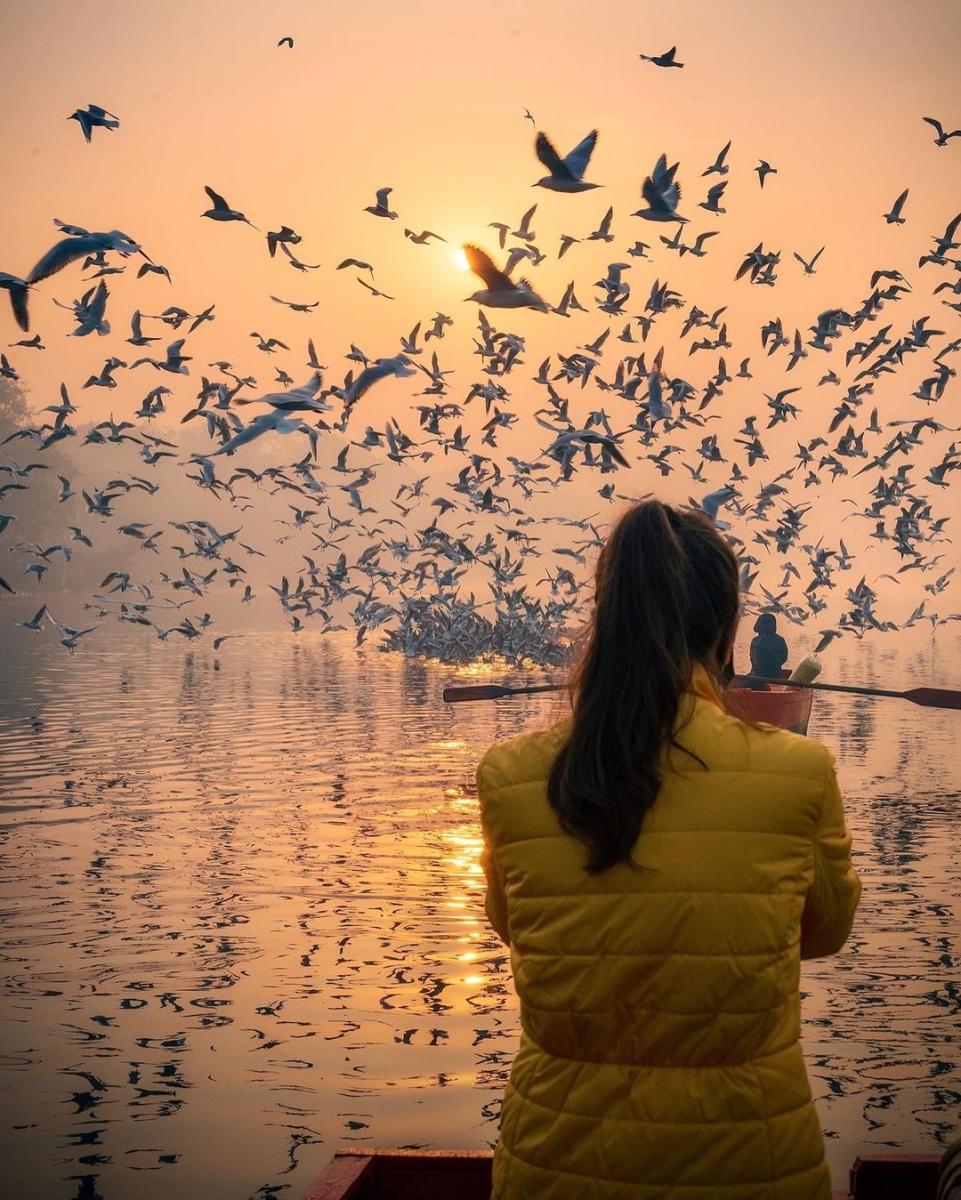 Surbhi Kaushik photographing the migratory birds at Yamuna Ghat in Delhi.