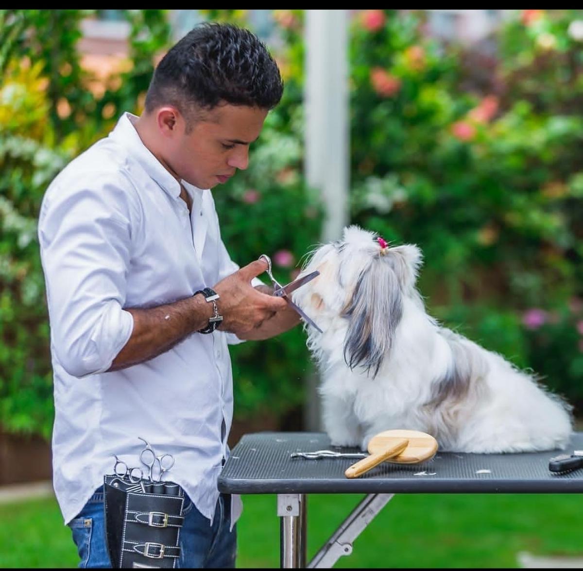 Prateek at work during a grooming session 