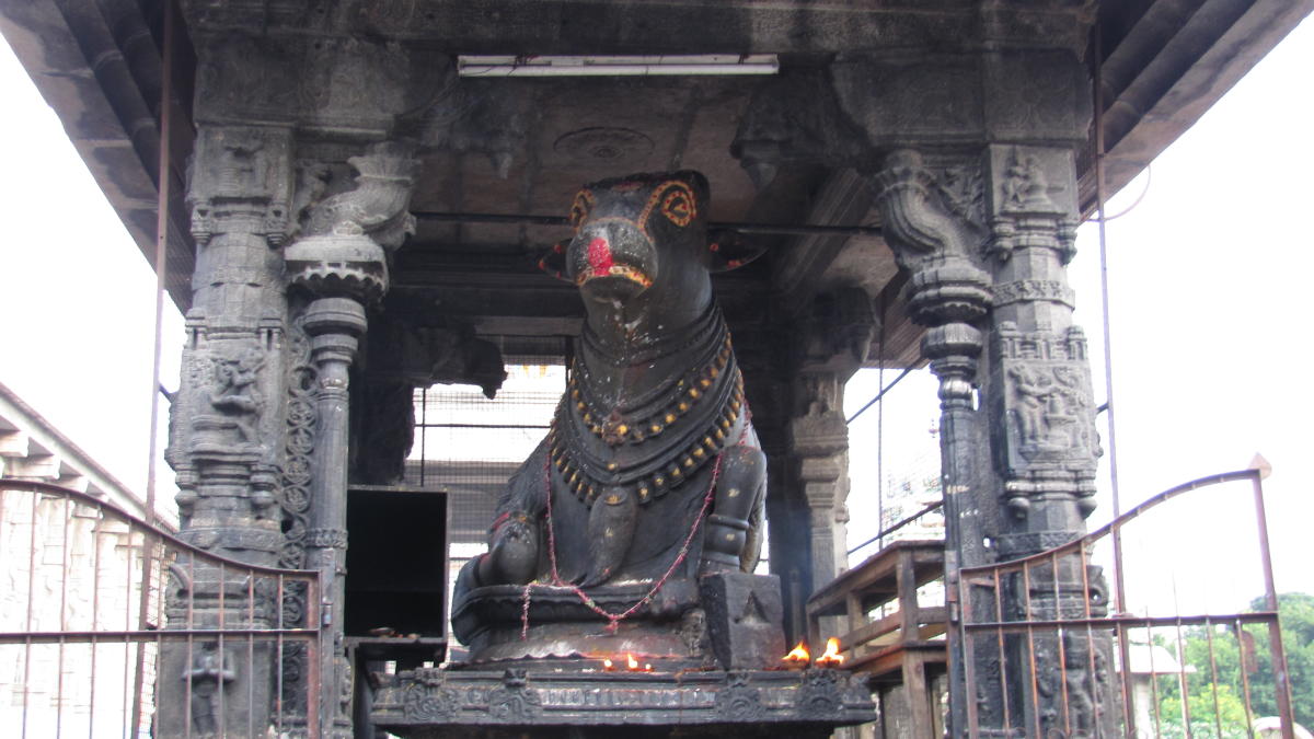 Nandi