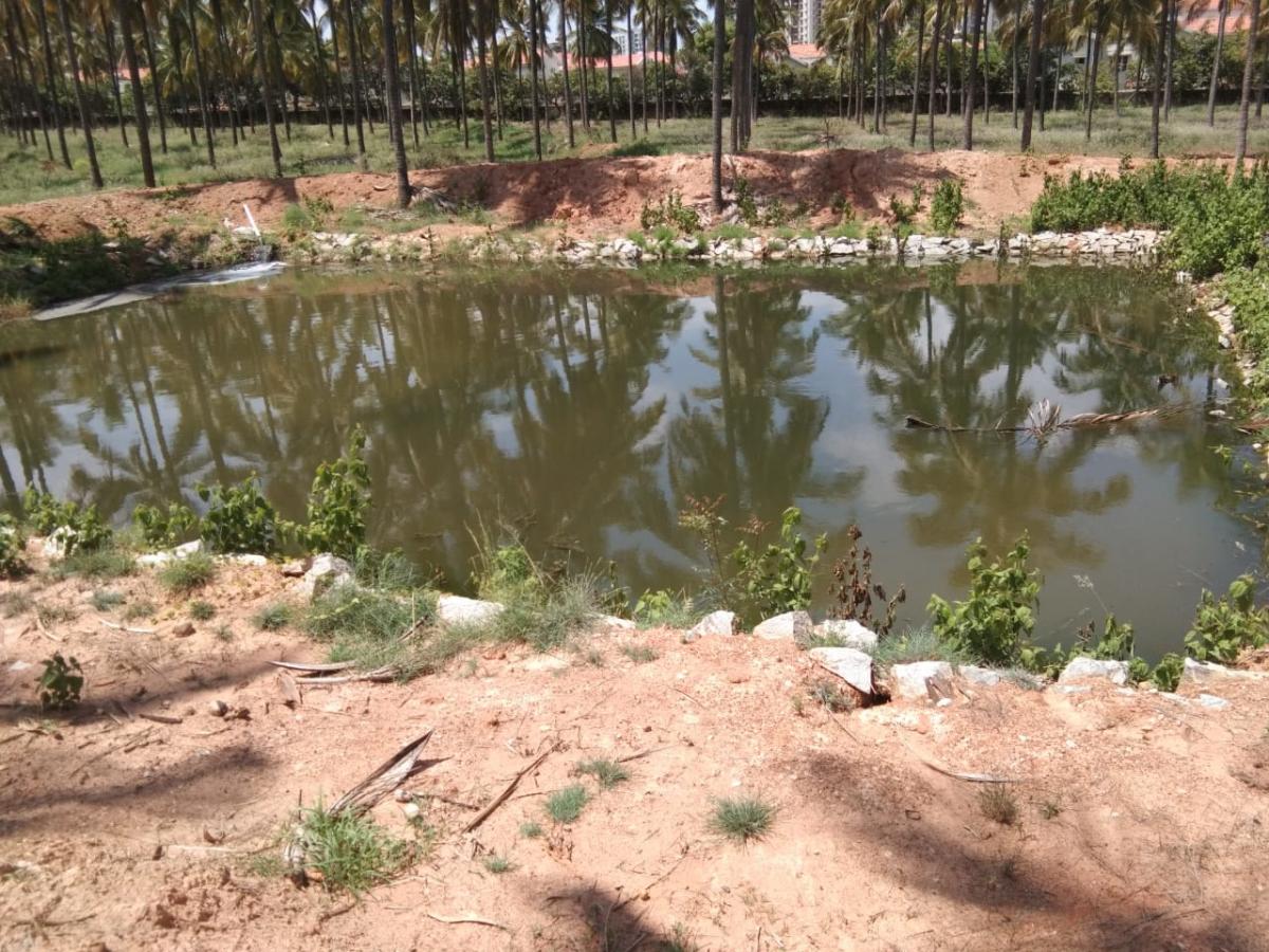 The mini-Lalbagh will has four mini-ponds to meet the water demand. 